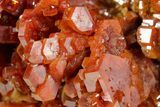 Gleaming Ruby Red Vanadinite Crystal Cluster - Large Crystals #368121-1